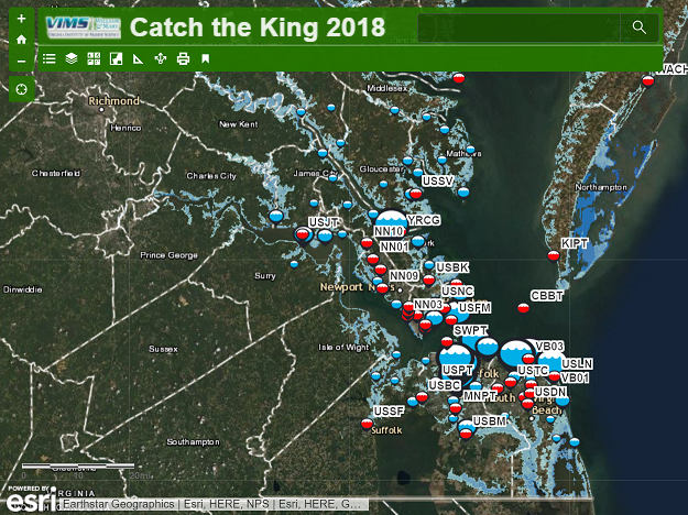 Catch the King 2018